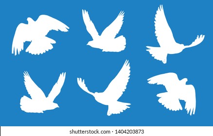 Pigeon (Columba) in flight silhouettes set 