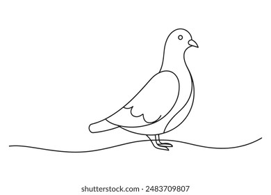 
Pigeon Continuous line art vector illustration on white background.