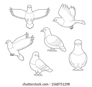 Pigeon Cute Poses Cartoon Vector Coloring Book