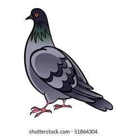 Pigeon Dove