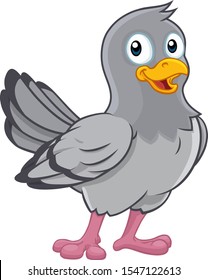 A pigeon dove bird cute cartoon character 