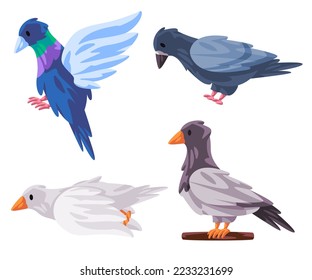 Pigeon dove birds vector illustration collection set pose in flying standing 