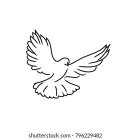 Pigeon  dove  black line art drawing on white background