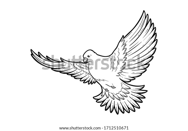 Pigeon Dove Flying Line Art Sketch Stock Vector (royalty Free) 1712510671