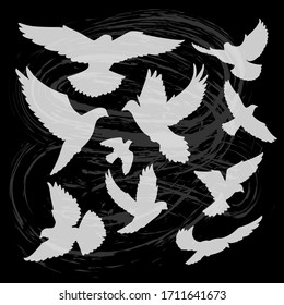 Pigeon or Dove flying silhouette set for icon, logo, poster, banner, pattern, peace symbol, bird wings, love Valentines card, wedding, Victory memorial day. Vector free flight animal collection