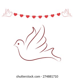pigeon, dove with heart