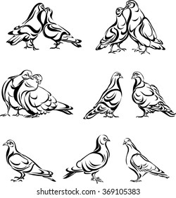 Pigeon, dove, pair, bird, vector, silhouette, black