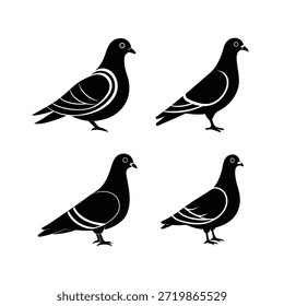 Pigeon and Dove Silhouette Vector Set - Minimalist Black Bird Icons