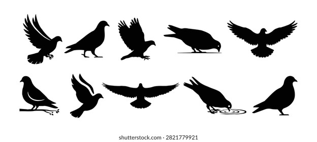 Pigeon and Dove Silhouettes Set Vector - Flying, Standing, and  Drinking Peace Birds Black Icons for Logo  and Graphic Design