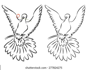 Pigeon or dove in simple line art style.
