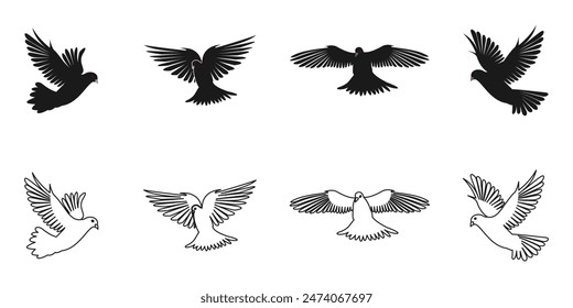 pigeon or dove vector set. flying pigeon with different view. vector illustration isolated on white background. 