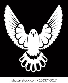 Pigeon or dove, white bird