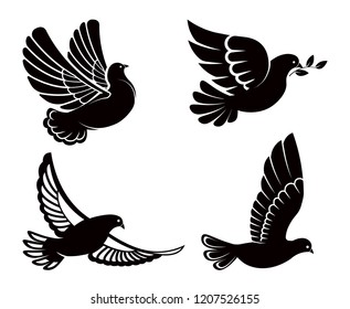Pigeon or dove, white bird flying with spread wings in sky or sitting set.