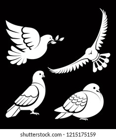 Pigeon or dove, white bird flying with spread wings in sky or sitting set. Vector logo template or isolated symbol icon of peace freedom or post mail delivery and tattoo