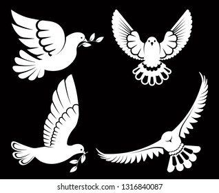 Pigeon or dove, white bird flying with spread wings in sky or sitting set. Vector logo template or isolated symbol icon of peace freedom or post mail delivery and tattoo