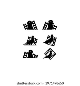 pigeon film design logo vector template