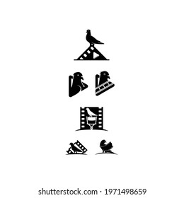 pigeon film design logo vector template