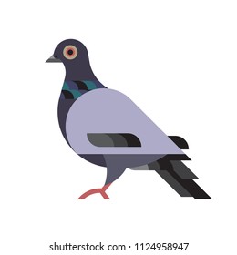 Pigeon Flat Icon Animal Vector Symbol Vector. Pigeon vector character color flat illustration pigeon image