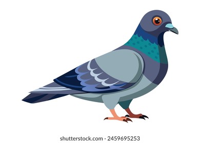 Ilustración vectorial plana de paloma sobre fondo blanco