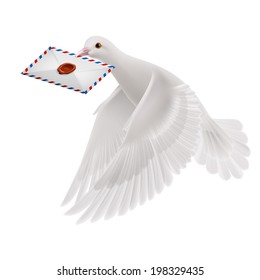 Pigeon fly with letter in beak on white background