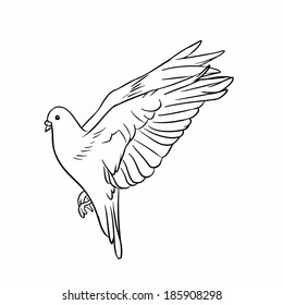 Pigeon fly line art