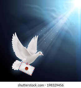 Pigeon fly with mail in beak into sunlight