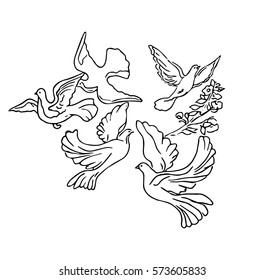 Pigeon flying