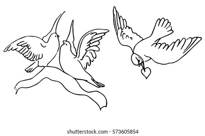 pigeon flying