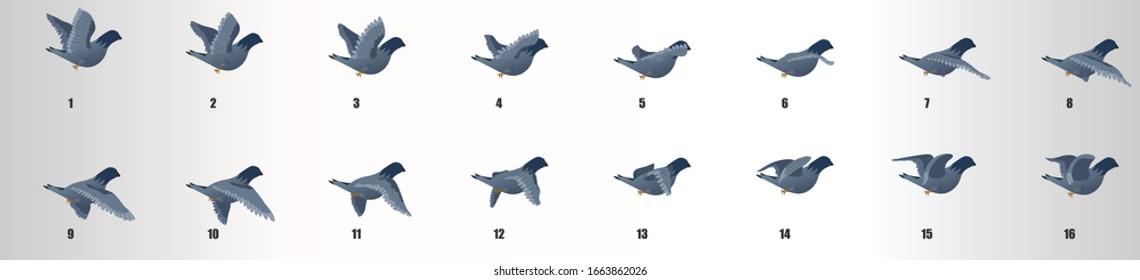 Pigeon flying animation sequence, loop animation sprite sheet