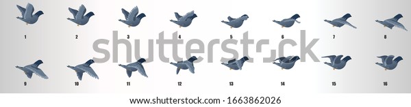 Pigeon flying animation sequence, loop animation\
sprite sheet