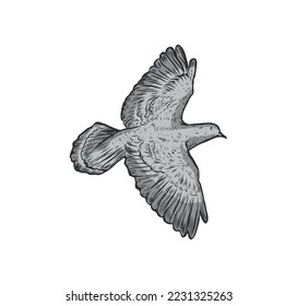pigeon flying design vector gray