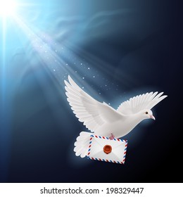 Pigeon flying with letters in beak on sunlight