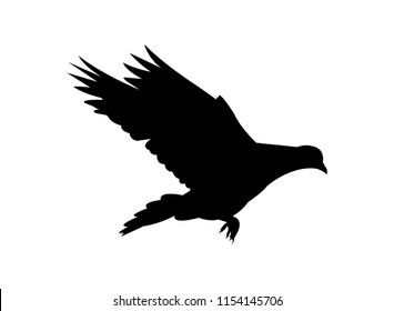 Pigeon flying silhouette