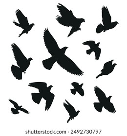 Pigeon flying silhouette in the sky, dove silhouette, dove in flight silhouette, flying dove silhouettes vector black isolated.