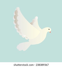 pigeon flying white isolated dove bird