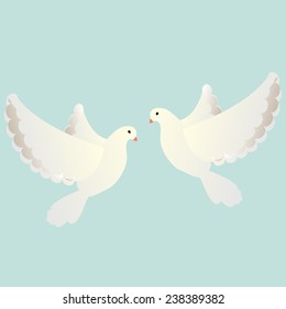 pigeon flying white isolated dove bird