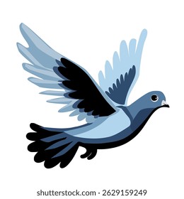 The pigeon is flying.Vector illustration isolated on white background.