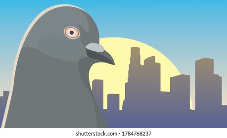 Paloma de color gris contra el fondo del amanecer en la metrópolis. Pájaro vector frente a la ciudad. El sol se eleva en el horizonte. La paloma en su hábitat natural.