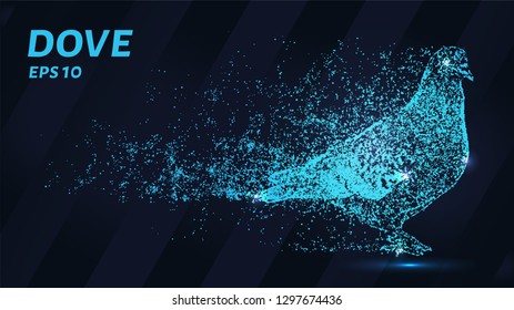 Pigeon. A grid of blue stars in the night sky. Glowing dots create the shape of a pigeon. Dove, bird, peace and other concepts illustration or background