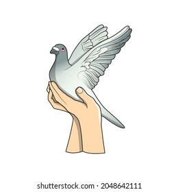 pigeon and hand vector illustration design