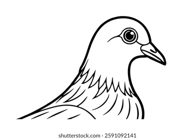 pigeon headd clipart vector illustration
