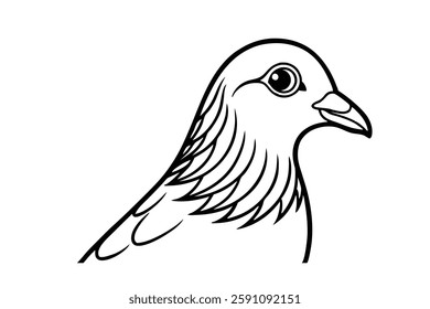 pigeon headd clipart vector illustration
