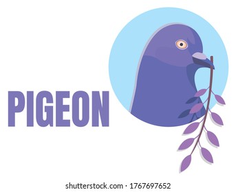 Pigeon hold twig with purple leaves in his beaks. Vector bird head in blue isolated on a white background. Dove cast a shadow. A symbol of peace