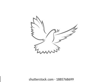 Pigeon holding branch illustration. Line illustration good for logo, icon, background.