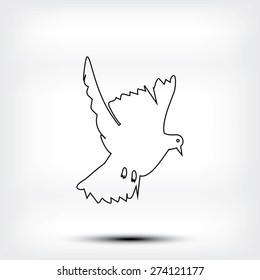 pigeon icon