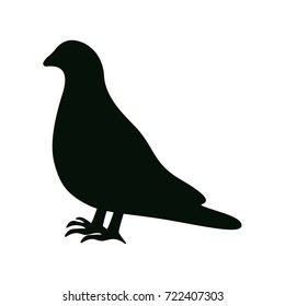 pigeon icon
