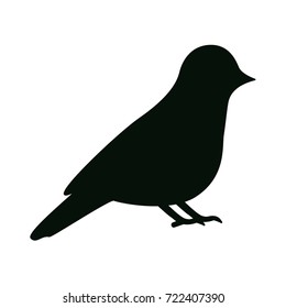 pigeon icon