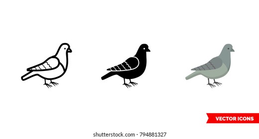 Pigeon icon of 3 types: color, black and white, outline. Isolated vector sign symbol.