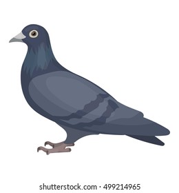 Pigeon icon in cartoon style isolated on white background. Bird symbol stock vector illustration.