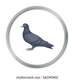 Pigeon icon in cartoon style isolated on white background. Bird symbol stock vector illustration.